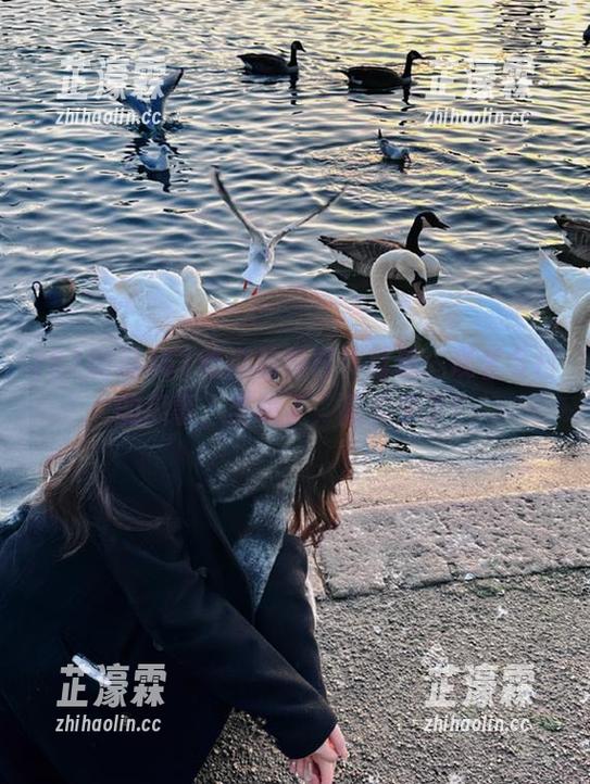 51吃瓜的每日节目单：观看今日的瓜事，坐稳了，瓜农来了！
