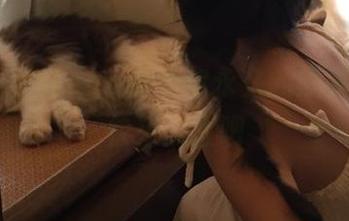 听说cgg能给你永久的黑暗回忆，快来探险吧