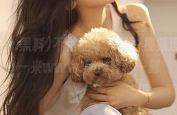 不怕翻车，只怕视频没梗——来www.黑料轻松一刻