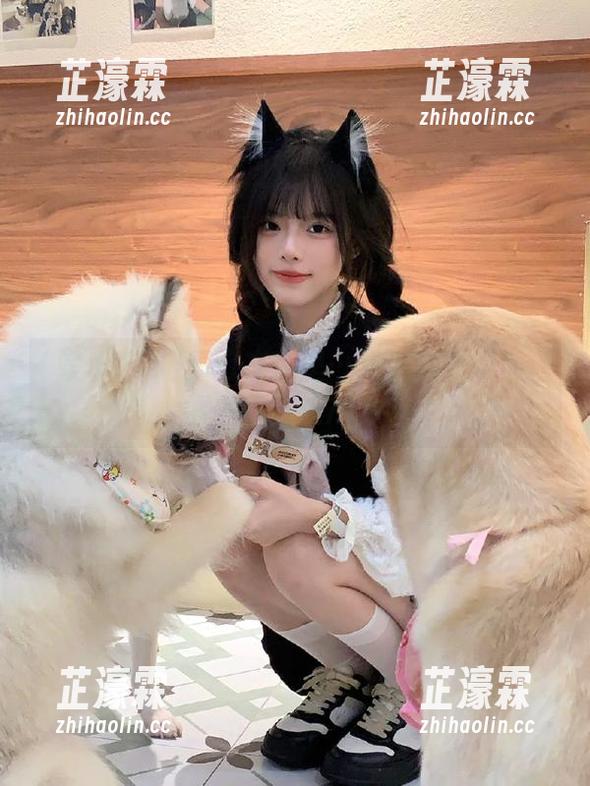入口在哪里…又想扒开层层迷雾去找娱乐718！