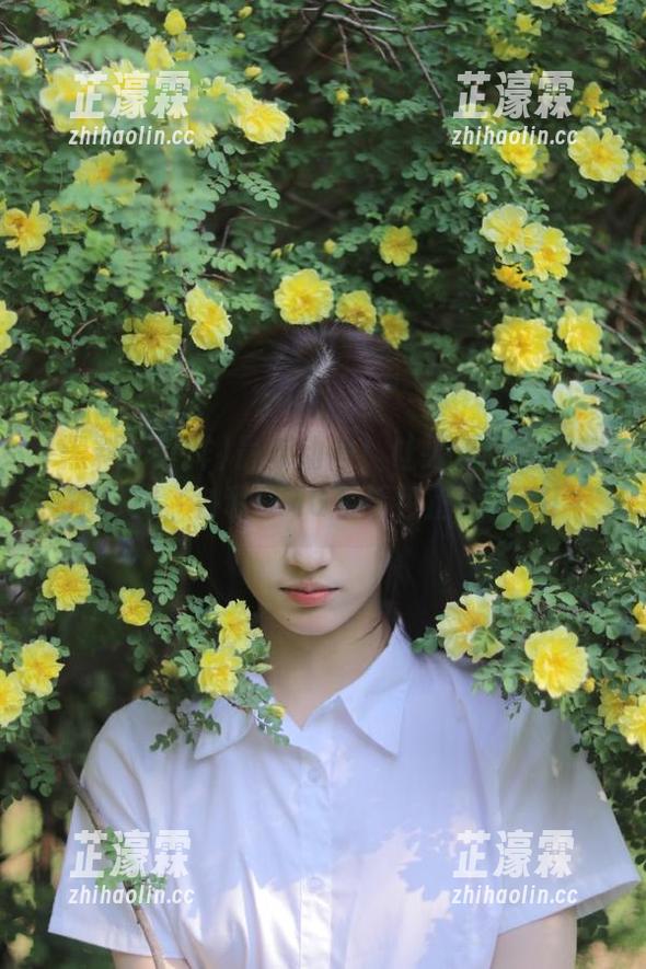 最新动向！让人无语的黑料不打样，各种OMG表情包正在上演！